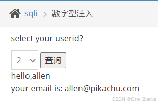 pikachu漏洞靶场通关