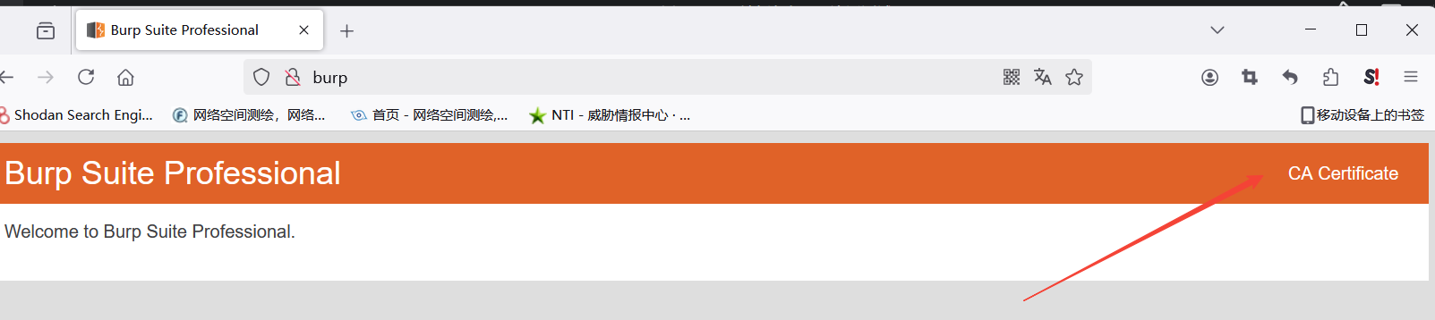 BurpSuite使用