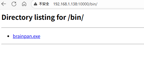 Brainpan 靶机练习 Brainpan 靶机练习