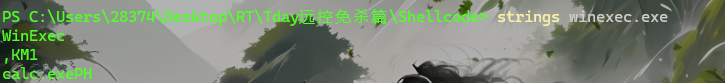 WIndows ShellCode开发 第三章 x64汇编细节点